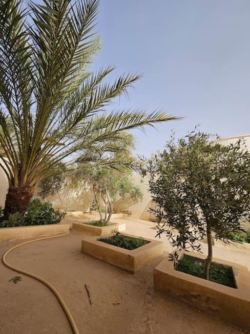 Hadhri Appartement Tozeur Exterior photo